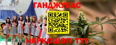 тгк Кингисепп