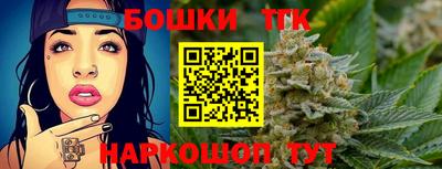 тгк Кингисепп