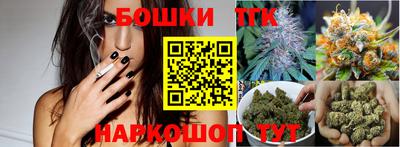 тгк Кингисепп