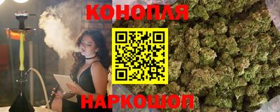 тгк Кингисепп
