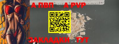 тгк Кингисепп