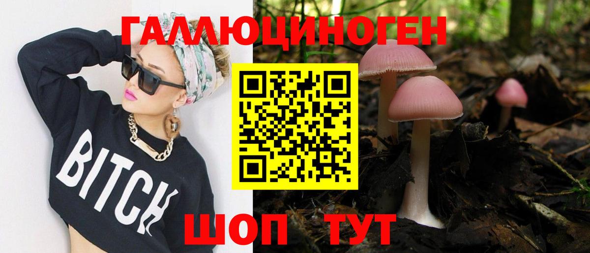 Псилоцибиновые грибы прущие грибы Мончегорск