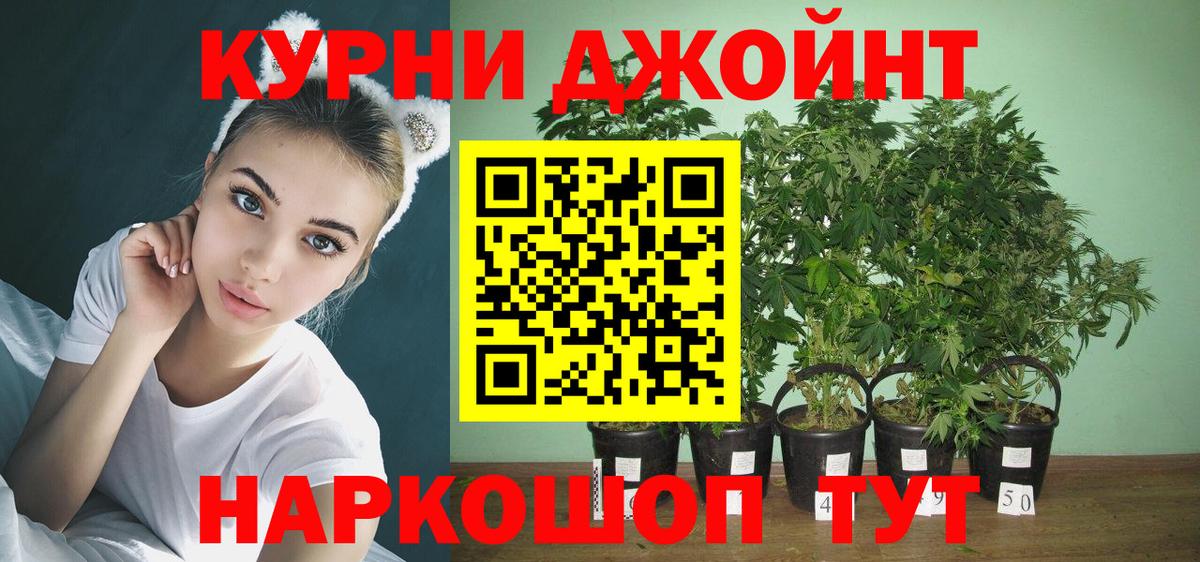 Каннабис план  Вход с VPN  Шишки марихуана конопля  Мончегорск  Бошки марихуана индика 